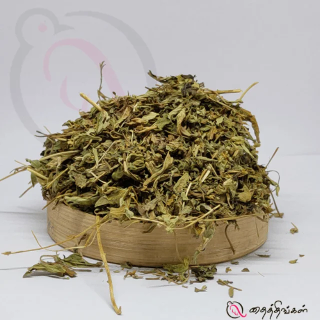 Dried Sweat Basil Leaf - image 1