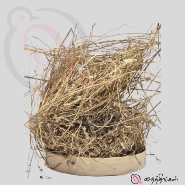 Keezhanelli Root / Stonebreaker Root - image 1