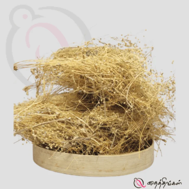 Mollugo cerviana Root / Parpadaga Root - image 1