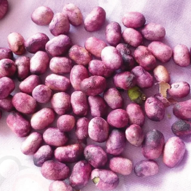 Jamun Seed Powder (50gm) - image 1