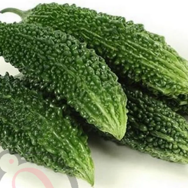 Bitter Gourd powder (50gm) - image 1