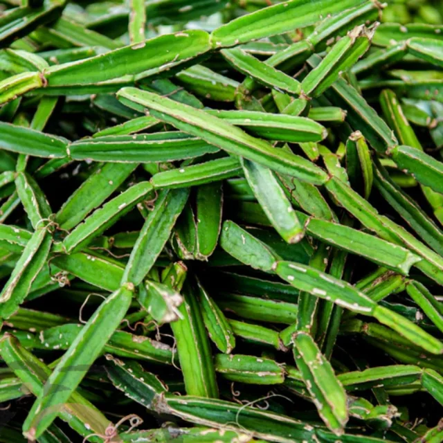 Pirandai powder (50gm) - image 1