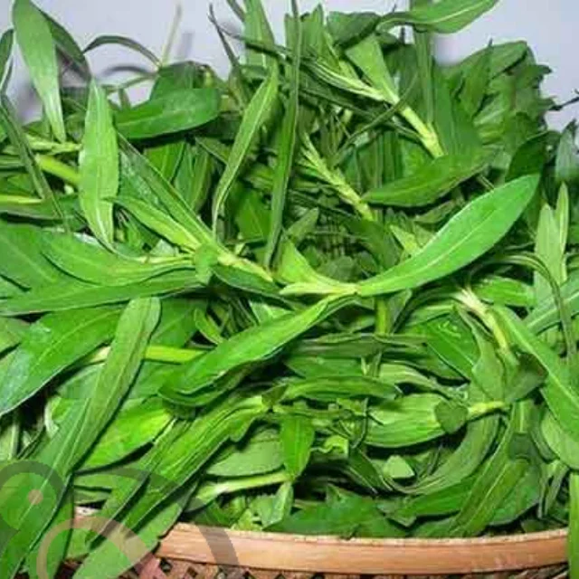 Ponnankani powder (50gm) - image 1