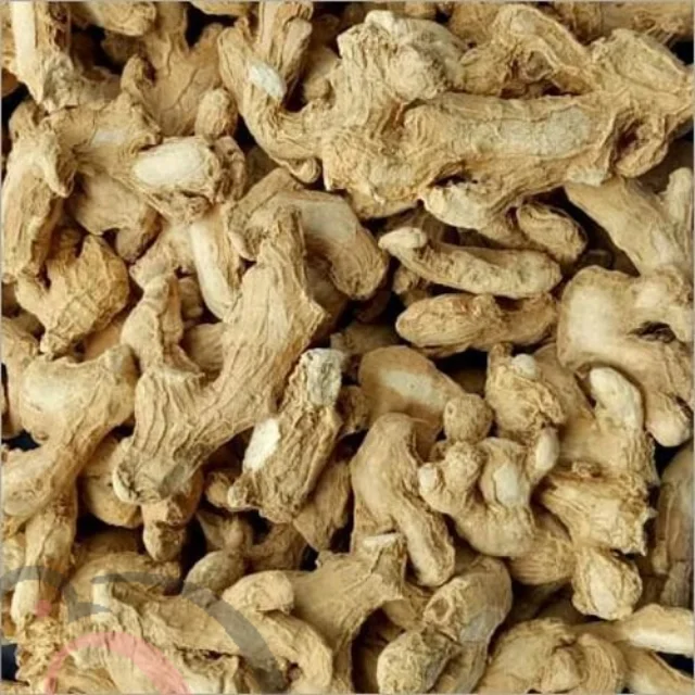 Dry Ginger Powder (50gm) - image 1