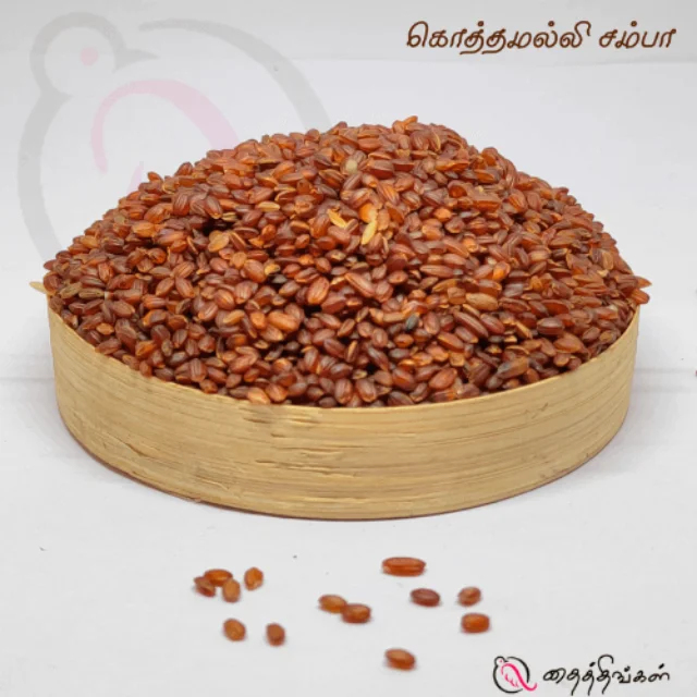 KOTHAMALLI SAMBA RICE - 1 KG - image 1