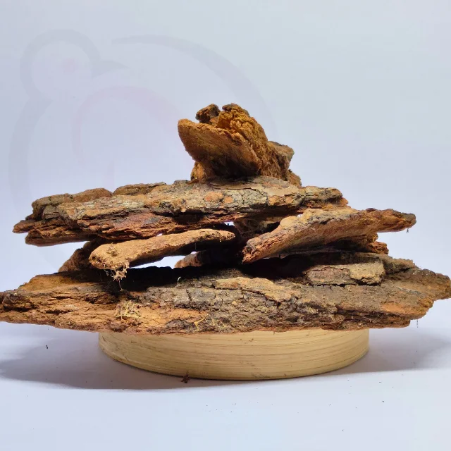 Mampattai / Mango Tree BarkThingal Essentials LLP Mampattai / Mango Tree BarkThingal Essentials LLP