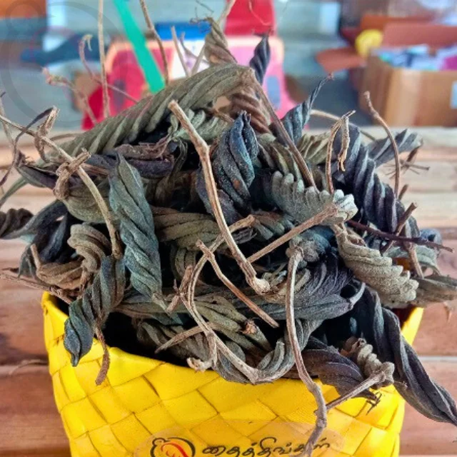 INDIAN SCREW TREE / valampuriThingal Essentials LLP INDIAN SCREW TREE / valampuriThingal Essentials LLP